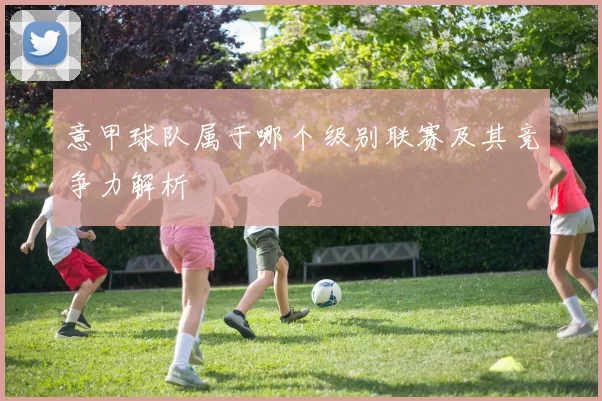 意甲球队属于哪个级别联赛及其竞争力解析