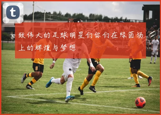 致伟大的足球明星们你们在绿茵场上的辉煌与梦想