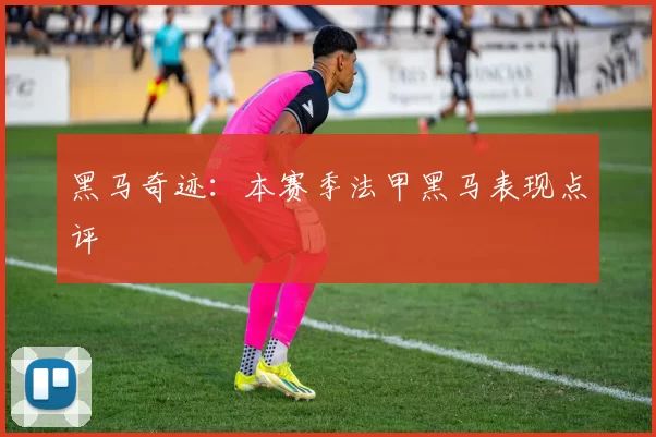 黑马奇迹：本赛季法甲黑马表现点评