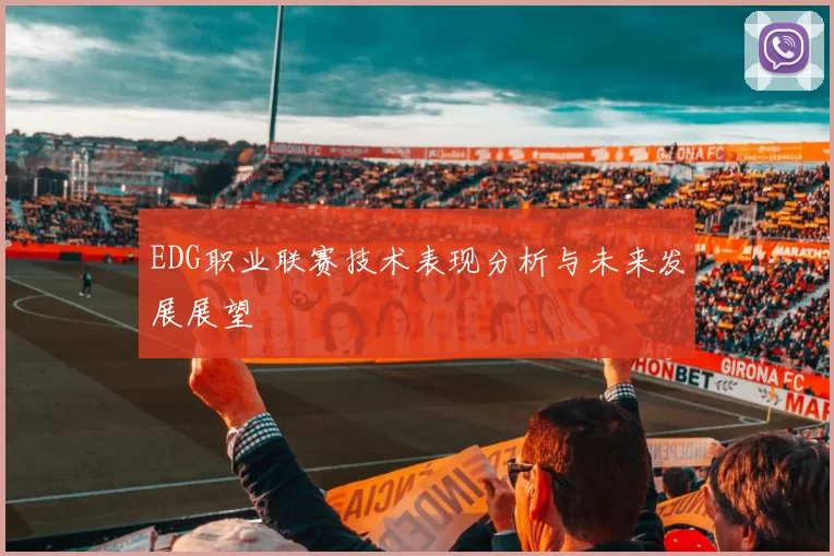 EDG职业联赛技术表现分析与未来发展展望