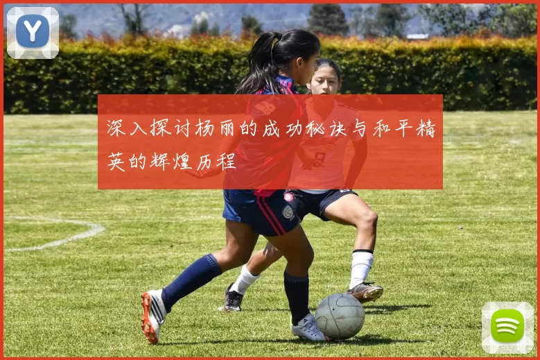 深入探讨杨丽的成功秘诀与和平精英的辉煌历程