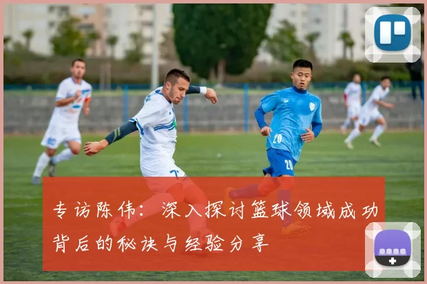 专访陈伟：深入探讨篮球领域成功背后的秘诀与经验分享