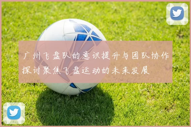 广州飞盘队的意识提升与团队协作探讨聚焦飞盘运动的未来发展