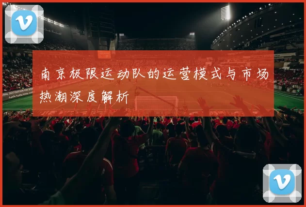 南京极限运动队的运营模式与市场热潮深度解析
