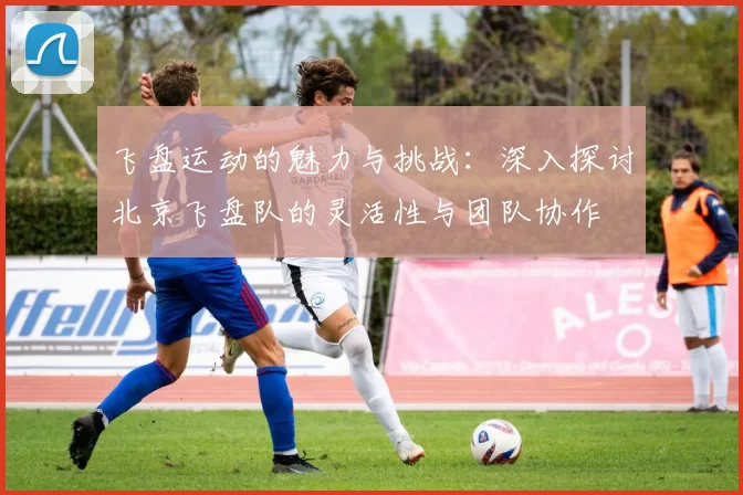 飞盘运动的魅力与挑战：深入探讨北京飞盘队的灵活性与团队协作