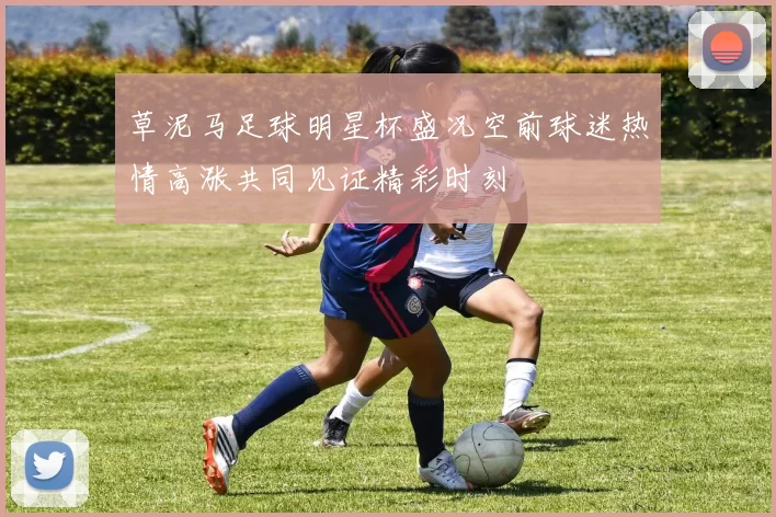 草泥马足球明星杯盛况空前球迷热情高涨共同见证精彩时刻