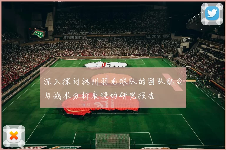 深入探讨杭州羽毛球队的团队配合与战术分析表现的研究报告