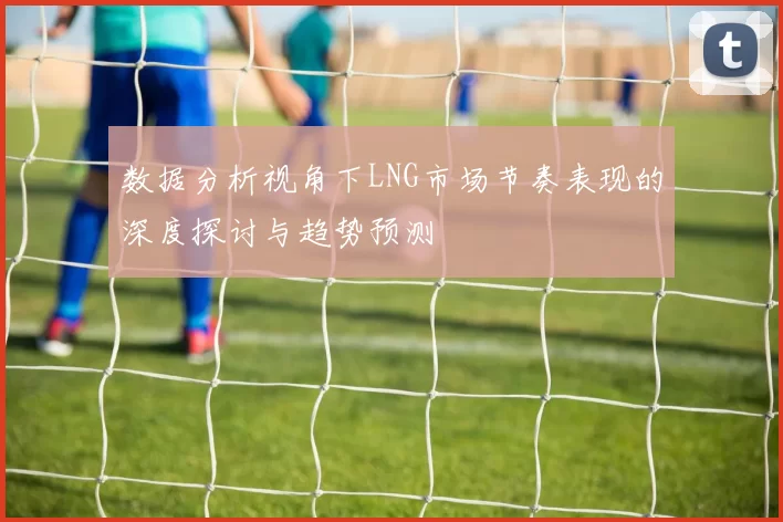 数据分析视角下LNG市场节奏表现的深度探讨与趋势预测