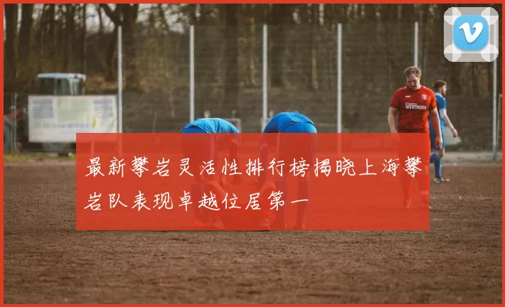 最新攀岩灵活性排行榜揭晓上海攀岩队表现卓越位居第一