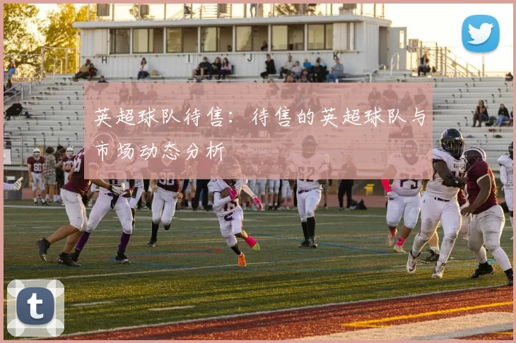 英超球队待售：待售的英超球队与市场动态分析