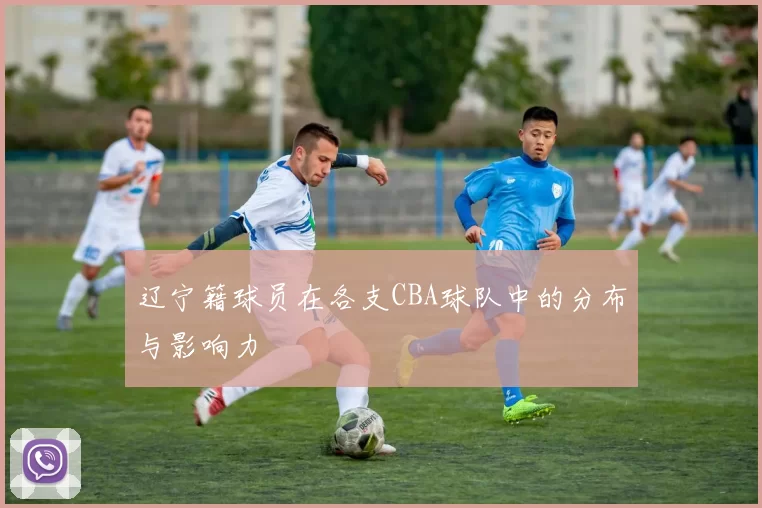 辽宁籍球员在各支CBA球队中的分布与影响力